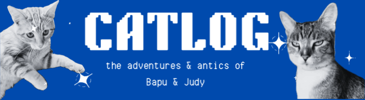 CATLOG banner