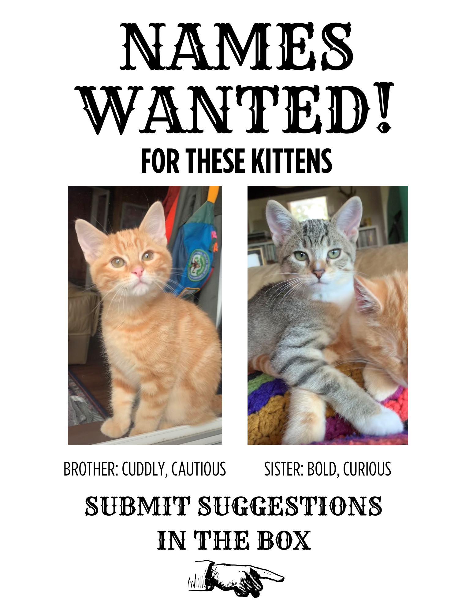 WANTED names for these kittens