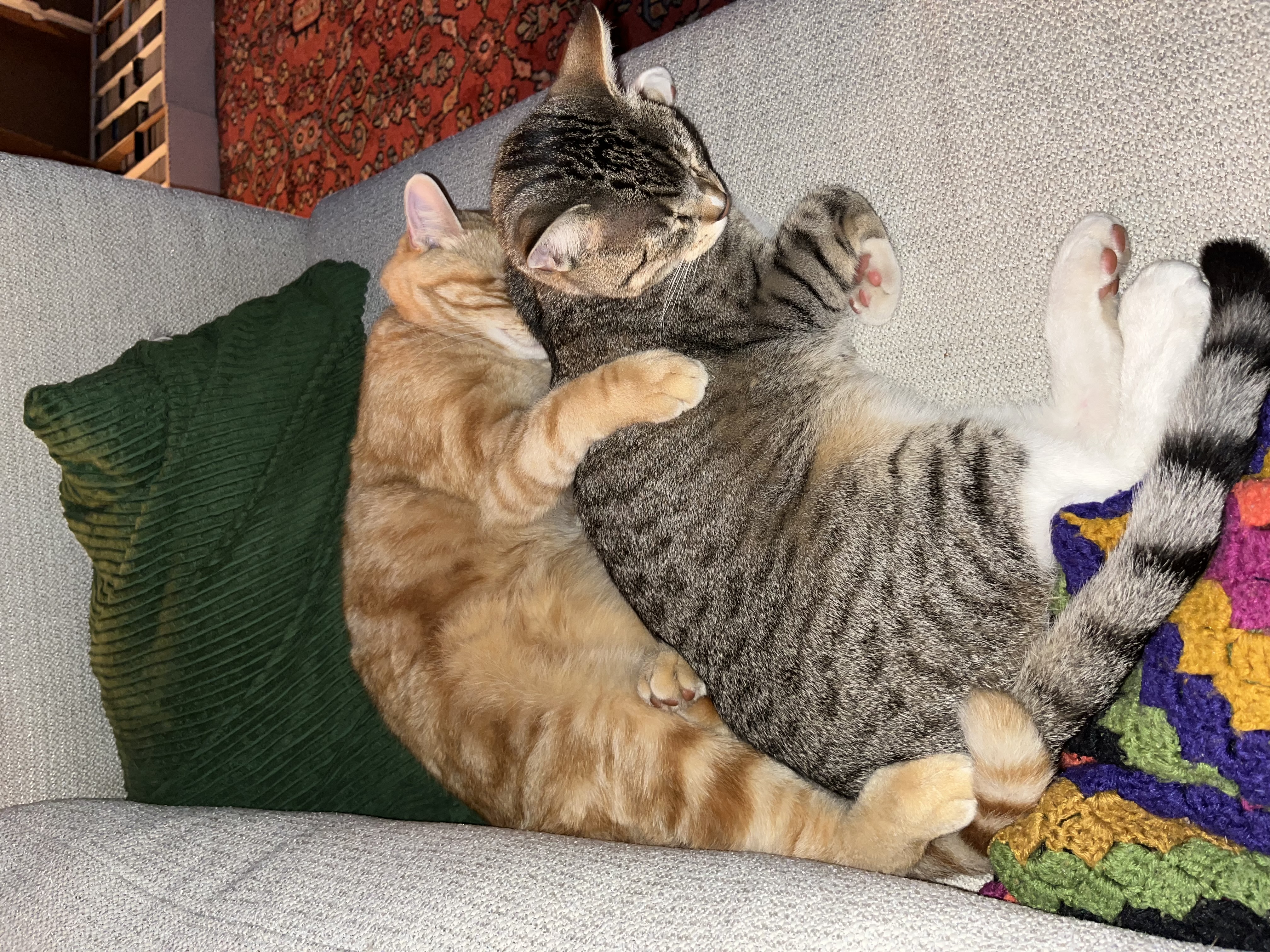 They used to cuddle