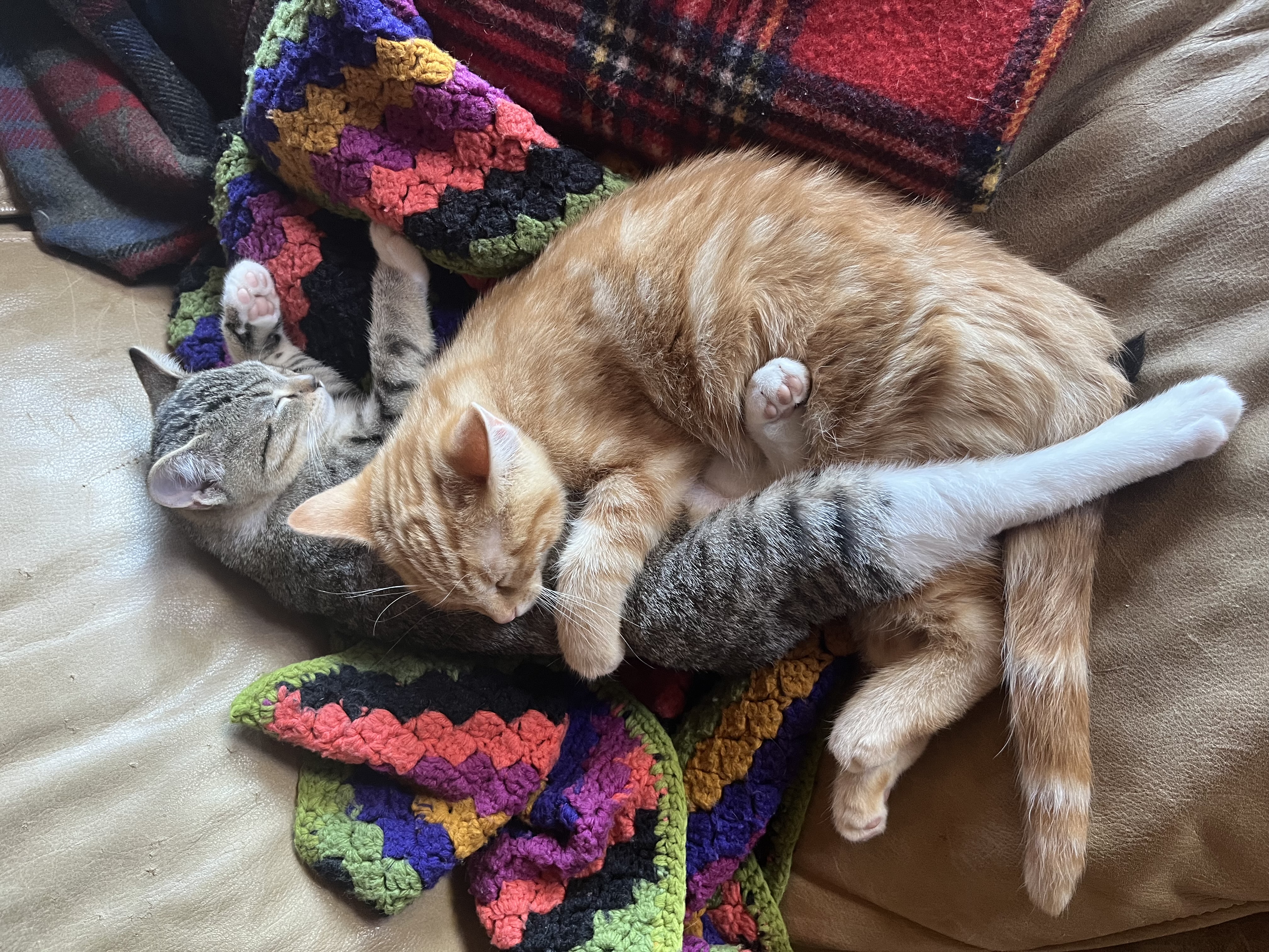 They used to snuggle